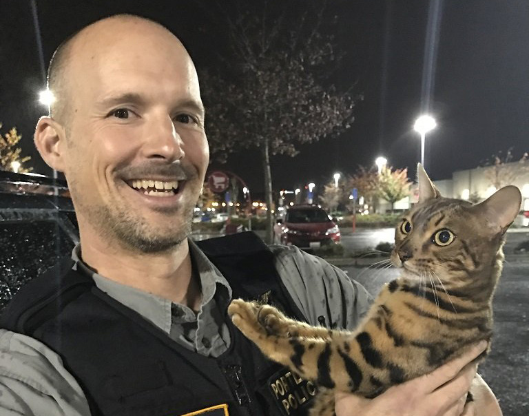 Detective Travis Fields of the Portland Police Bureau helps return Falke the Bengal cat to his owner Wednesday night. Fields was assisted by the Clark County Sheriff's Office in retrieving the stolen kitty from Brush Prairie.