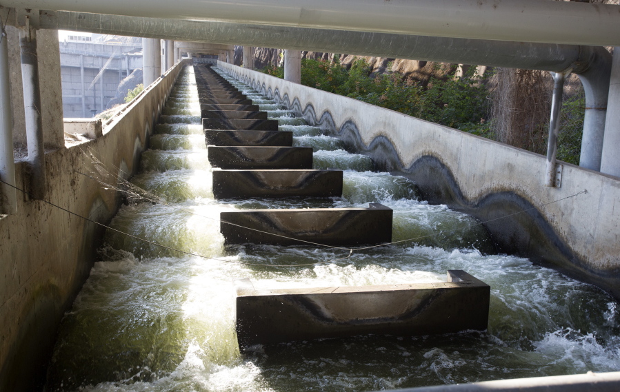 In this file photo taken Sept. 24, 2014, water flows through a fish ladder at Lower Granite Dam on the Snake River in Washington state.