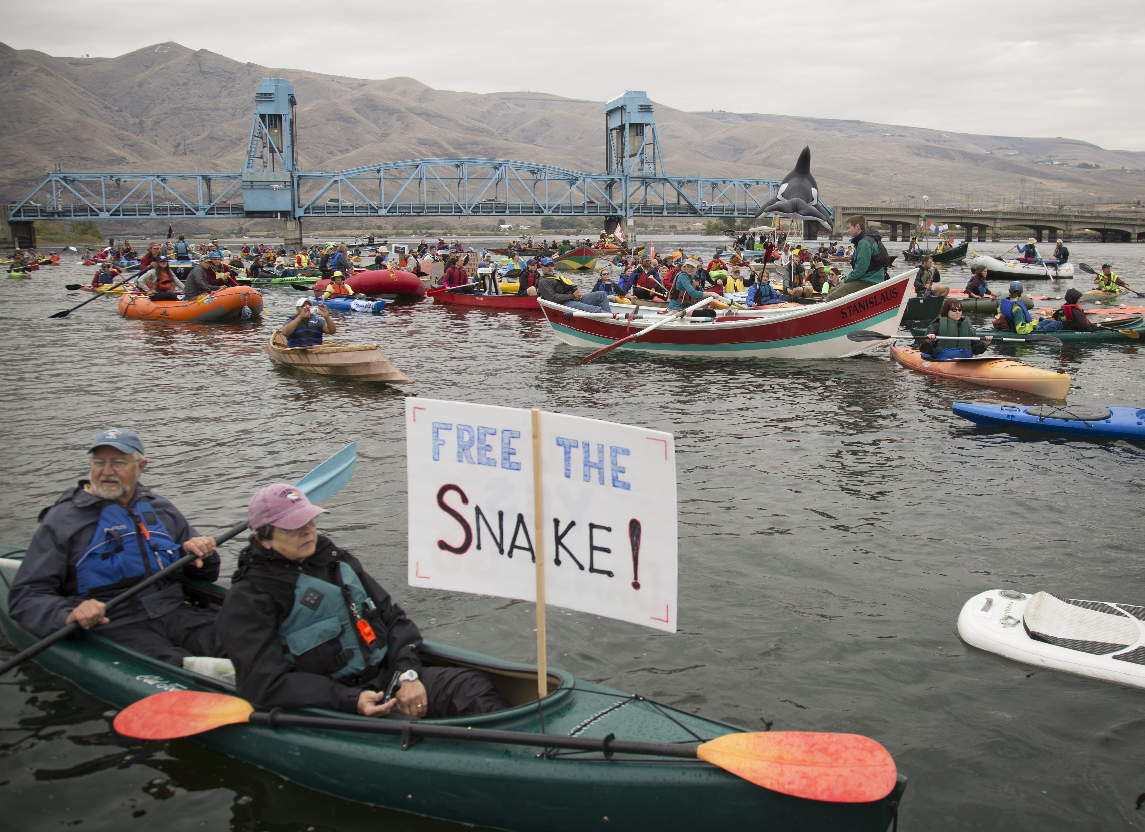 A flotilla of small vessels demonstrated in mid-September near the confluence of the Snake and Clearwater rivers at Lewiston, Idaho, in favor of removing four dams on the lower Snake River.