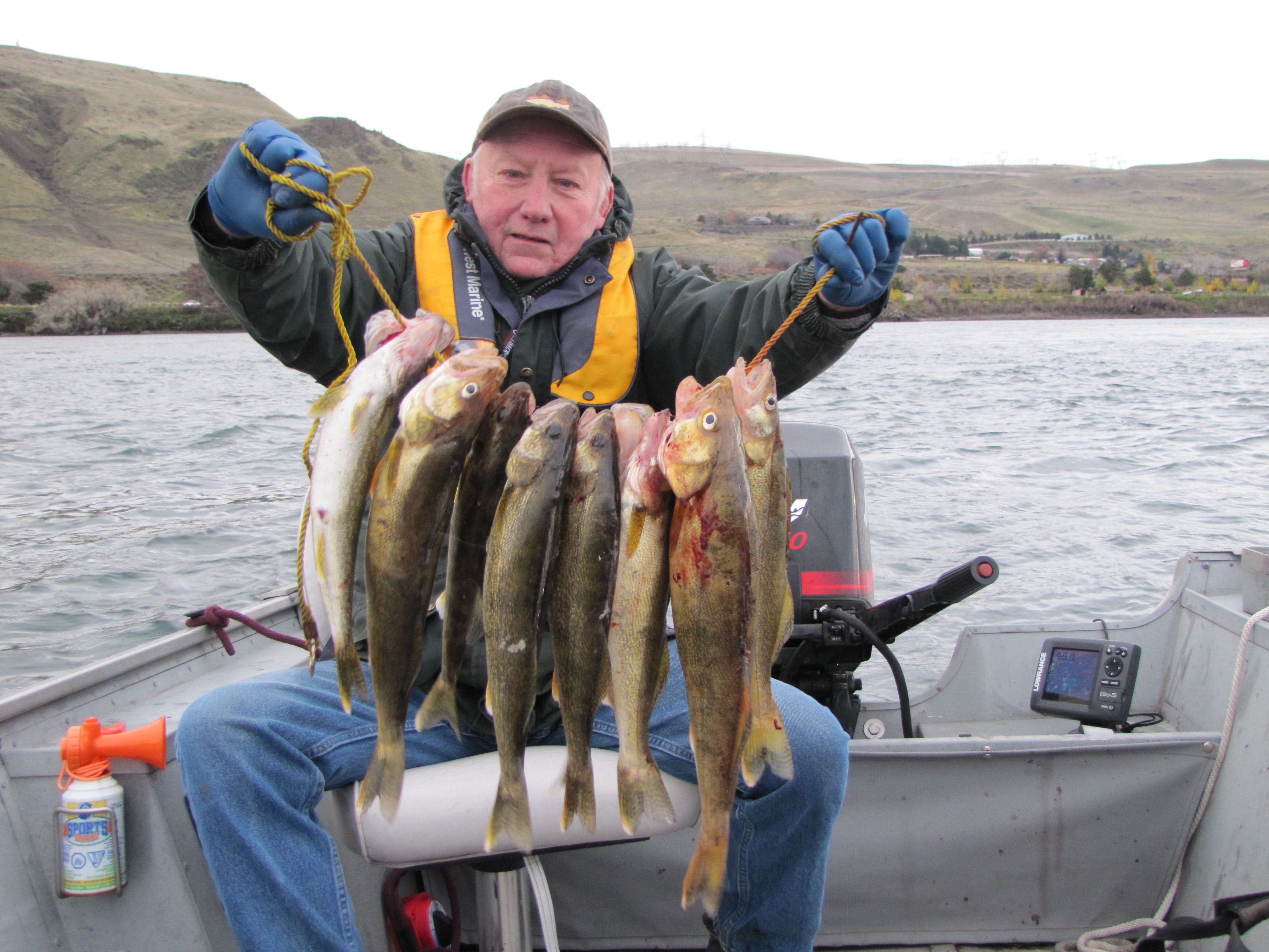 Dick Borneman of Vancouver with a string of walleye taken last weekend from the upper end of The Dalles pool of the Columbia River near Rufus, Ore.