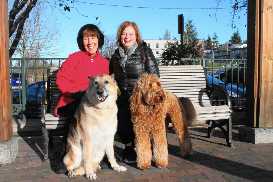 Kathy Denney, left, with German shepherd Shelby, and Tessa Rawitzer, with Australian labradoodle Arnold, take a break from dog walking in Bellingham.
