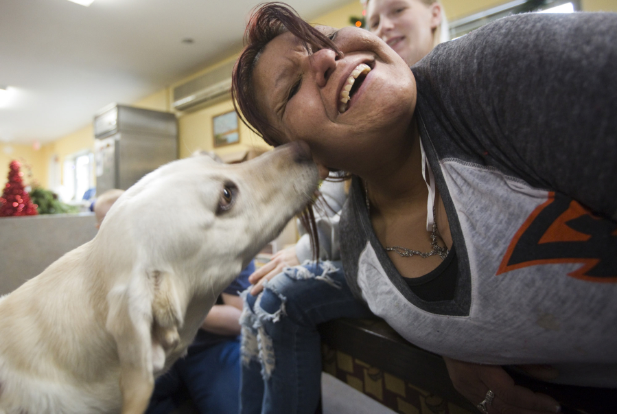 Enelida Acevedo gets a lick from Limon, a therapy dog at Share&#039;s family shelter in Hazel Dell on Saturday. DoveLewis&#039; therapy dogs are visiting the shelter to provide emotional support and comfort during the holidays, which are especially hard on homeless families.