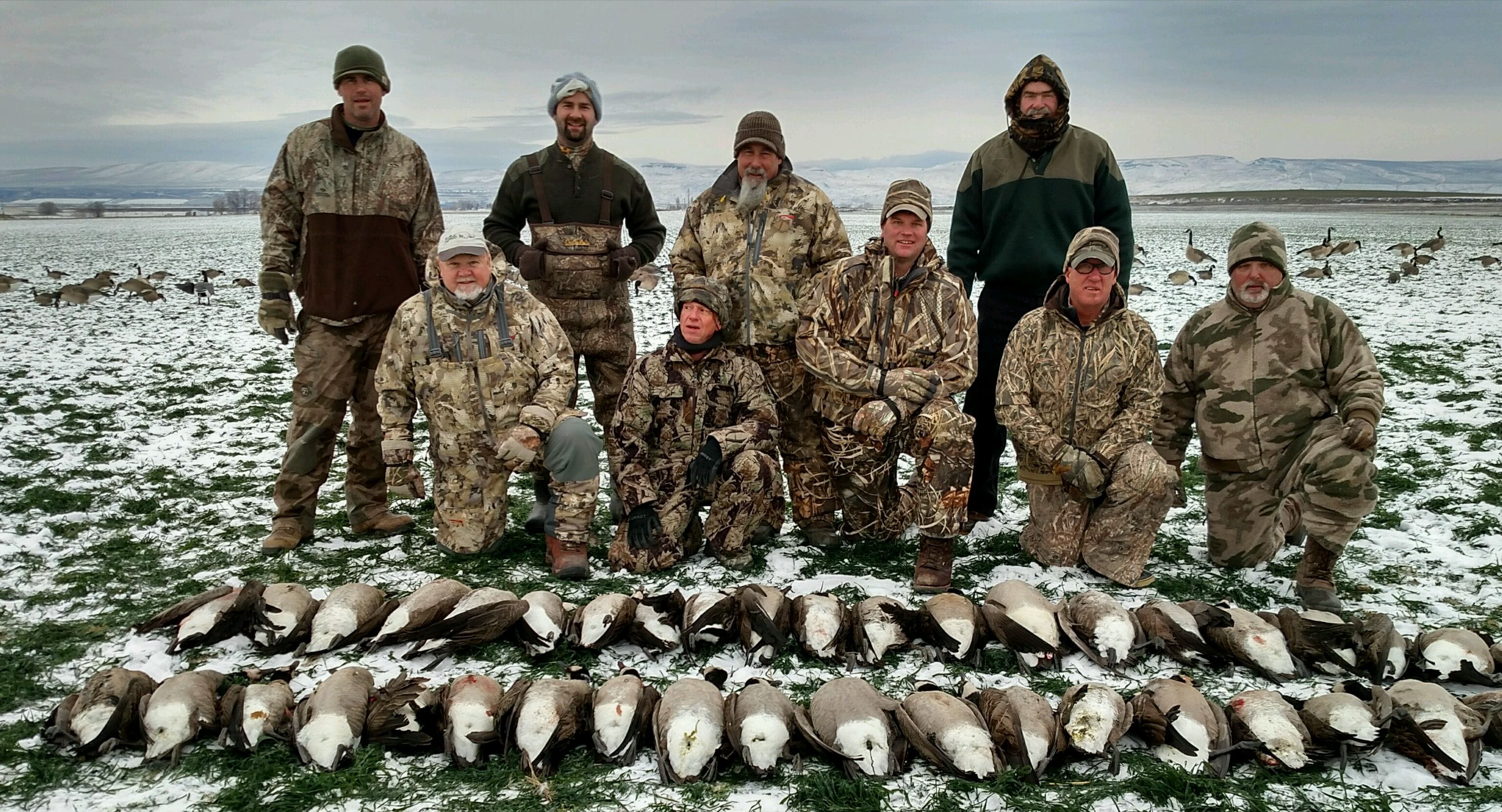 The temperature might only have been 9 degrees last week in Central Washington, but the goose hunting was hot in spots.