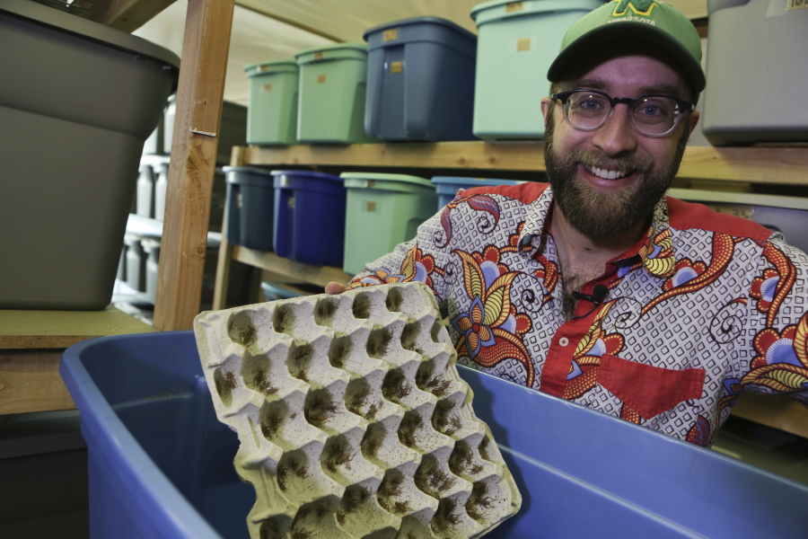 Austin Miller poses Dec. 1 with some of the crickets he raises in bins inside a warehouse in Eugene, Ore. It takes six to eight weeks for the crickets to grow into adult bugs. Miller breeds, raises, freezes, boils, bakes and packages the small insects for humans to buy -- and eat.
