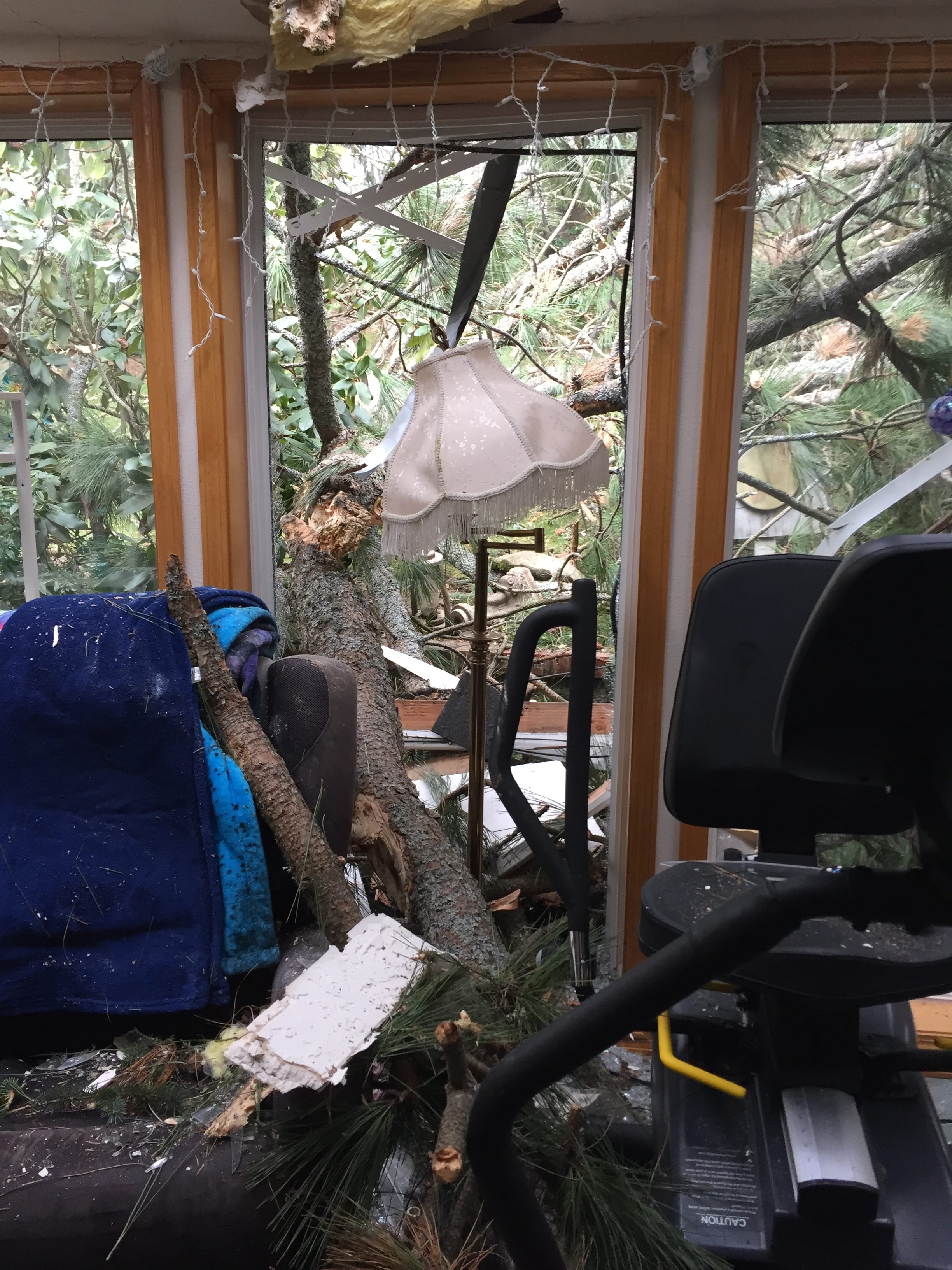 One person was injured when a tree fell into a Camas house. It was the second time Thursday that a tree fell into a house and injured a person in Clark County.