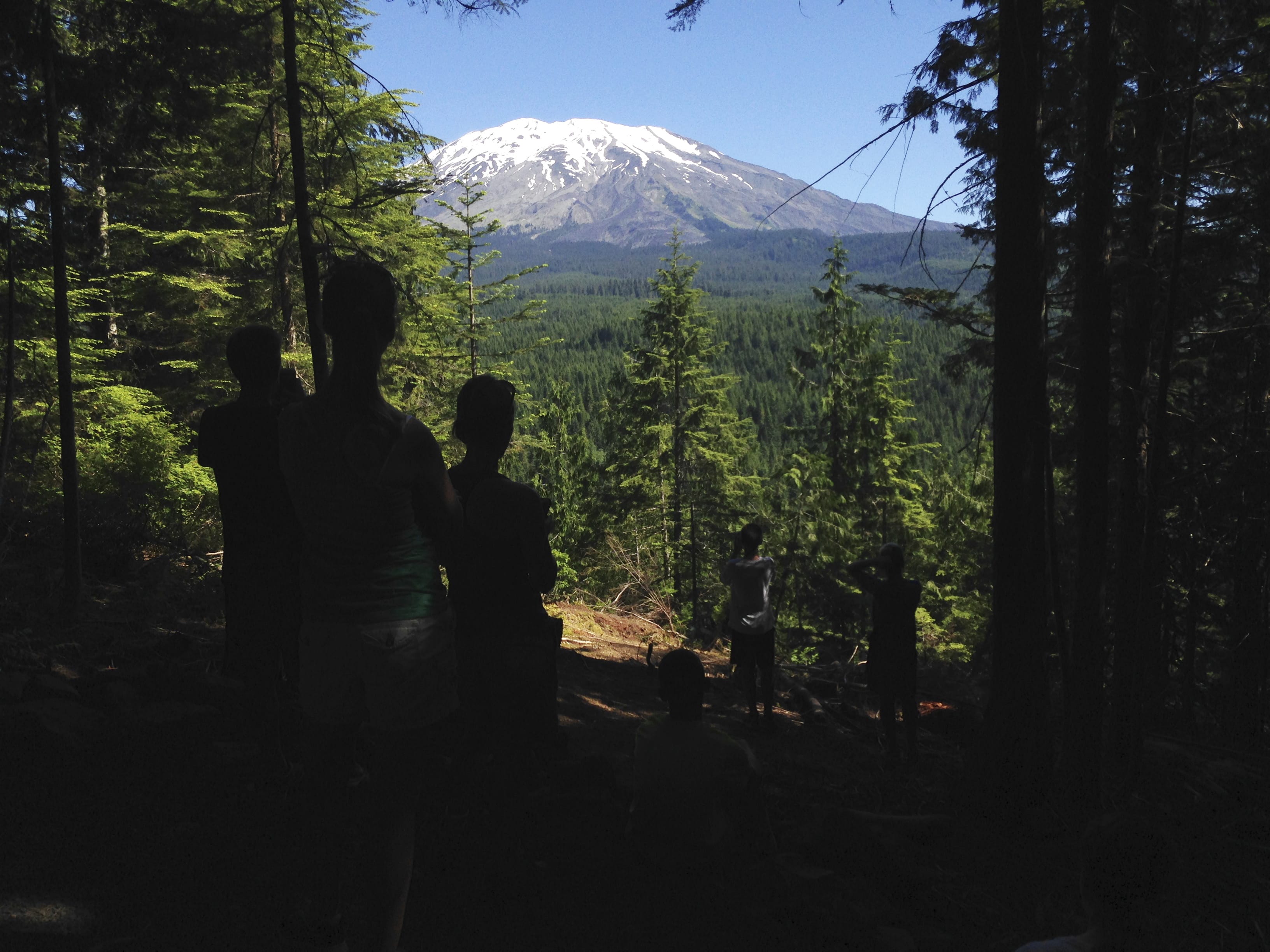Mount St. Helens, visible from a trail near Cougar, in June 2015. Visitors will have the opportunity to explore Mount St. Helens in a variety of ways throughout 2017, thanks to programs offered by the Mount St. Helens Institute.