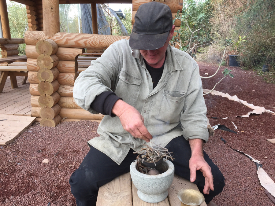 Israeli farmer Guy Erlich uses resin, dried and crushed, from the commiphora plant to make myrrh on Wednesday.