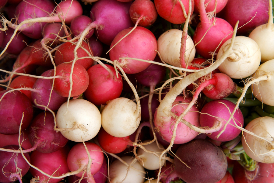 Fresh radishes on sale at local farmers market.