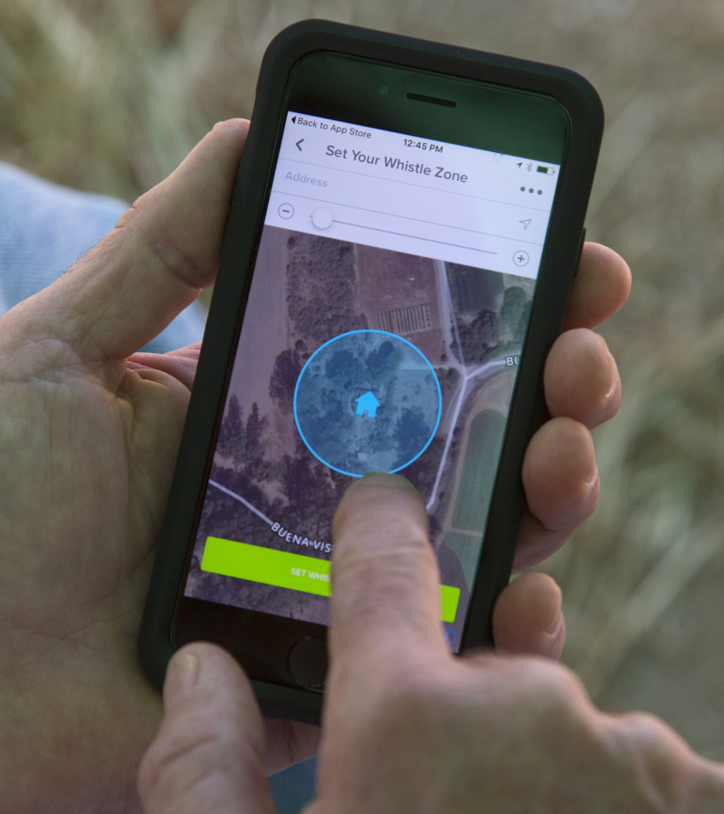 Seth Baron sets preferences on the &quot;Whistle&quot; GPS pet app.