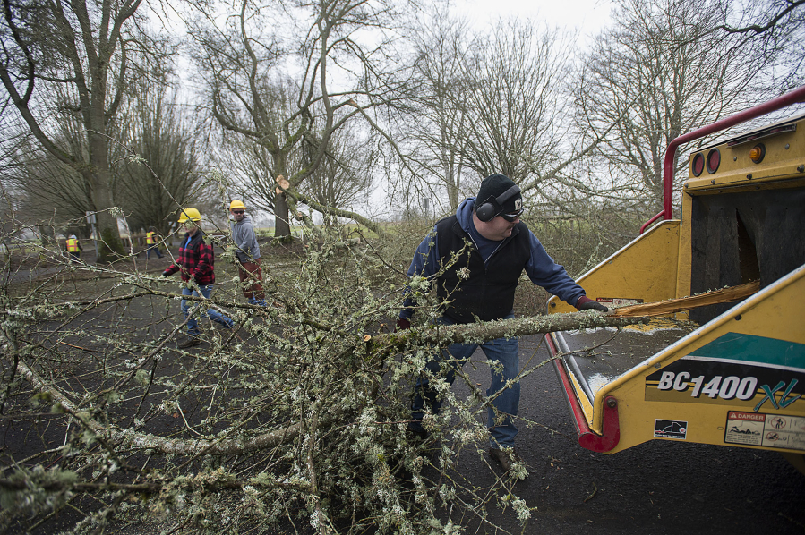 Don Bronson, Clark County corrections work crew chief, feeds a downed branch into a chipper brought to Vancouver Lake Regional Park to clear out debris created from storms earlier this month.