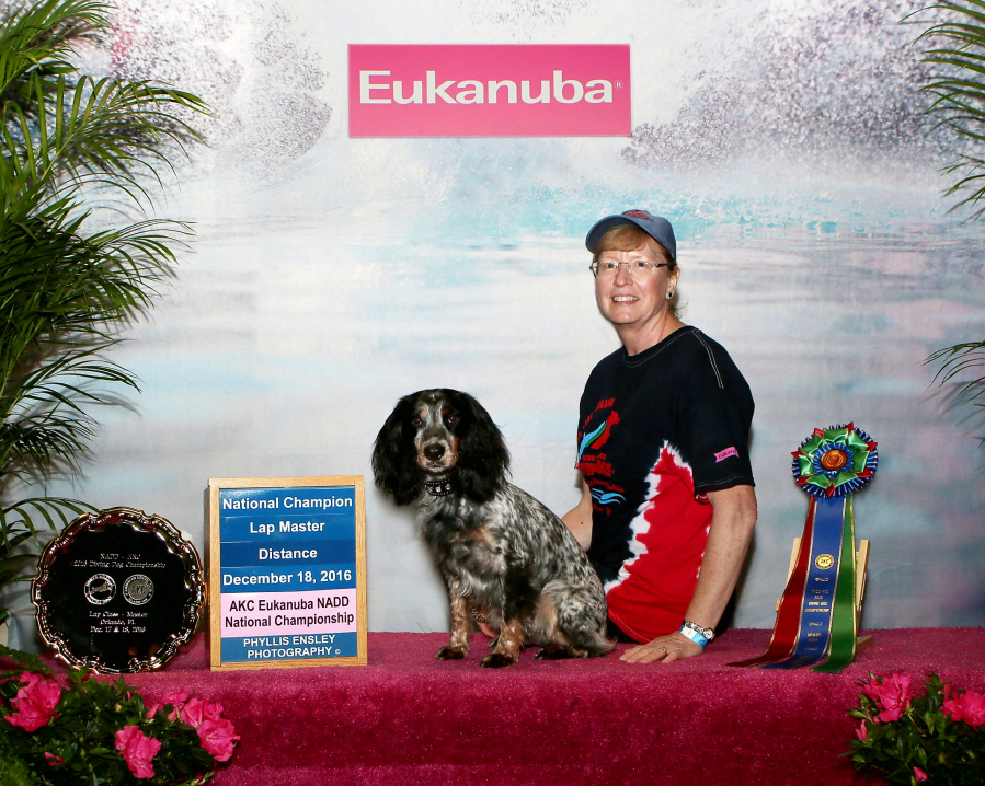 Salmon Creek: Shana Porter and her field-bred English Cocker Spaniel, Keira, who finished first in the Lap Master category at the American Kennel Club&#039;s National Association of Diving Dogs National Championship.