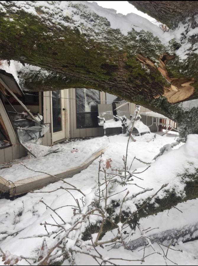 A family of four escaped their Salmon Creek house after half of an oak tree fell onto their living room.