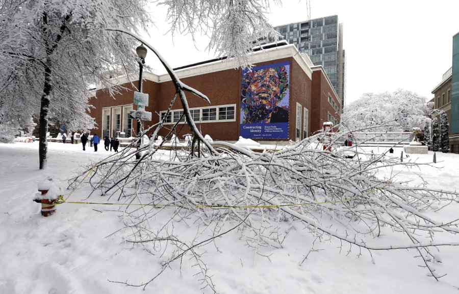 Tree branches, broken from the weight of heavy snow, are scattered on the ground of the park blocks across from the Portland Art Museum in Portland on Wednesday.