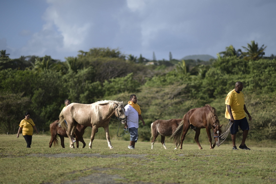 Horse owners arrive for free veterinary services by the U.S. Humane Society as they carrying out a birth control campaign for horses in Vieques, Puerto Rico. Many locals keep their horses in open fields near the sea, where they graze until they???re needed next. Officials say that as a result, it???s nearly impossible to control the horse population and hold owners accountable when trouble occurs.