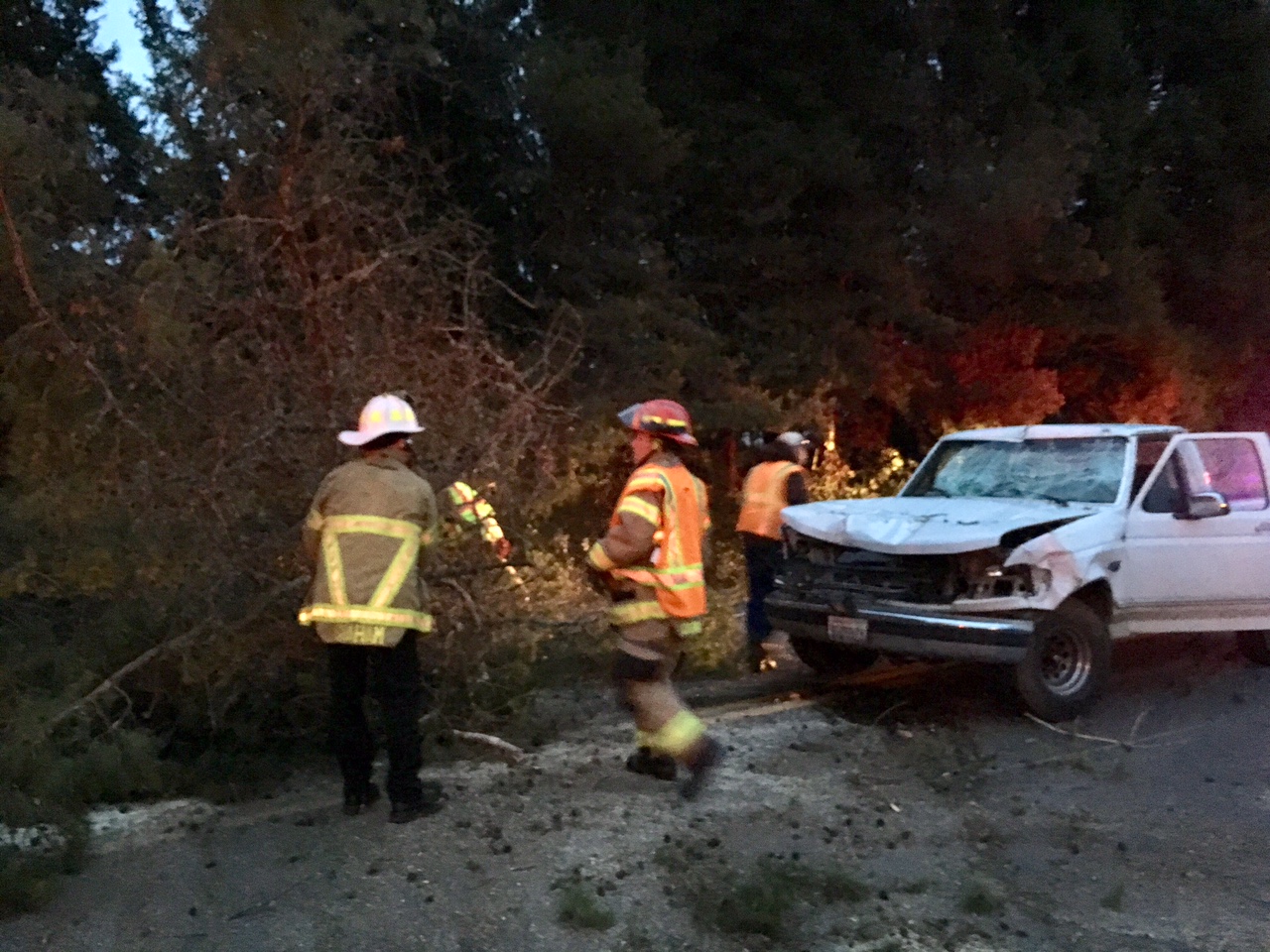 The driver of a pickup escaped injury after he crashed into a tree that fell onto the roadway in north Clark County.