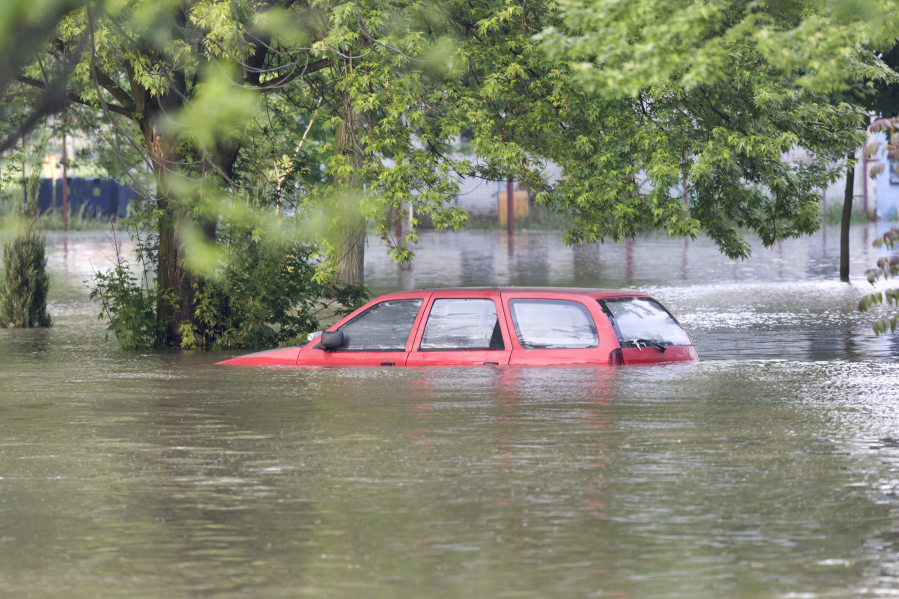 Cars can be sold at auction without disclosure of earlier flood damage.