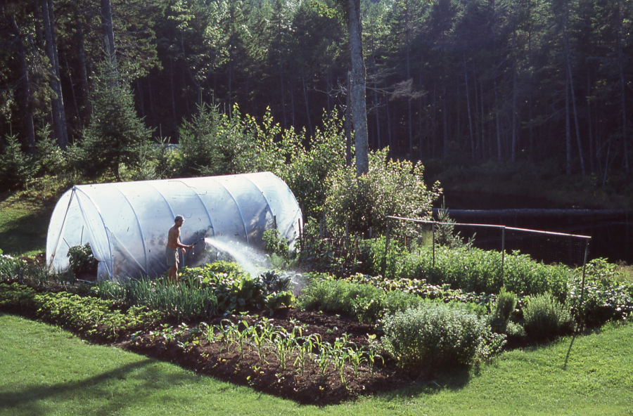Writer Costas Christ waters his 30-by-60-foot family garden.