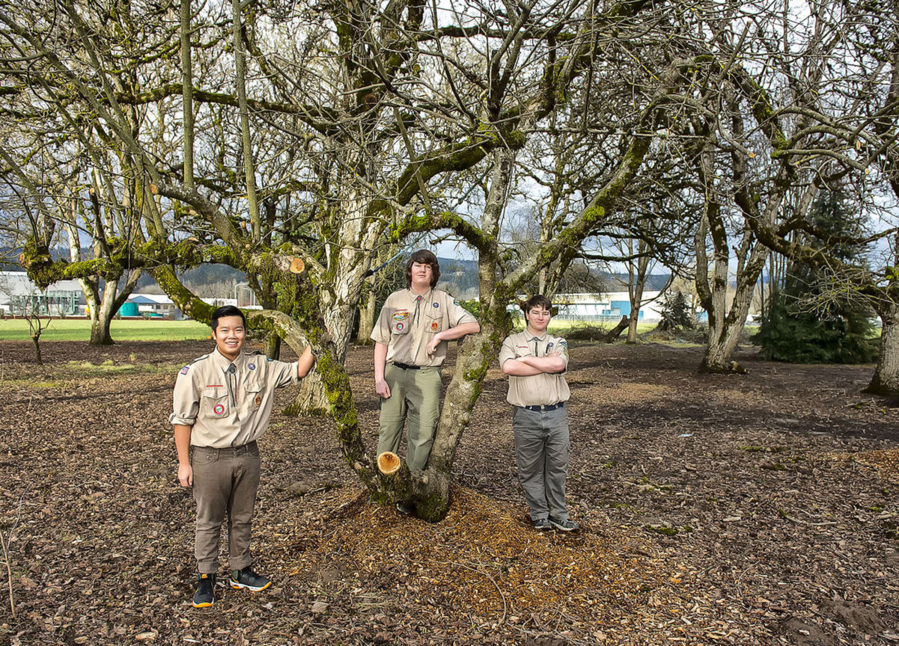 Years from now, three Woodland Eagle Scouts, from left, Will Buttrell, Noah Kuykendall and Angus Moir, expect people will be able to come to this spot in Woodland and pick free fruit or just enjoy the beauty of the community orchard.