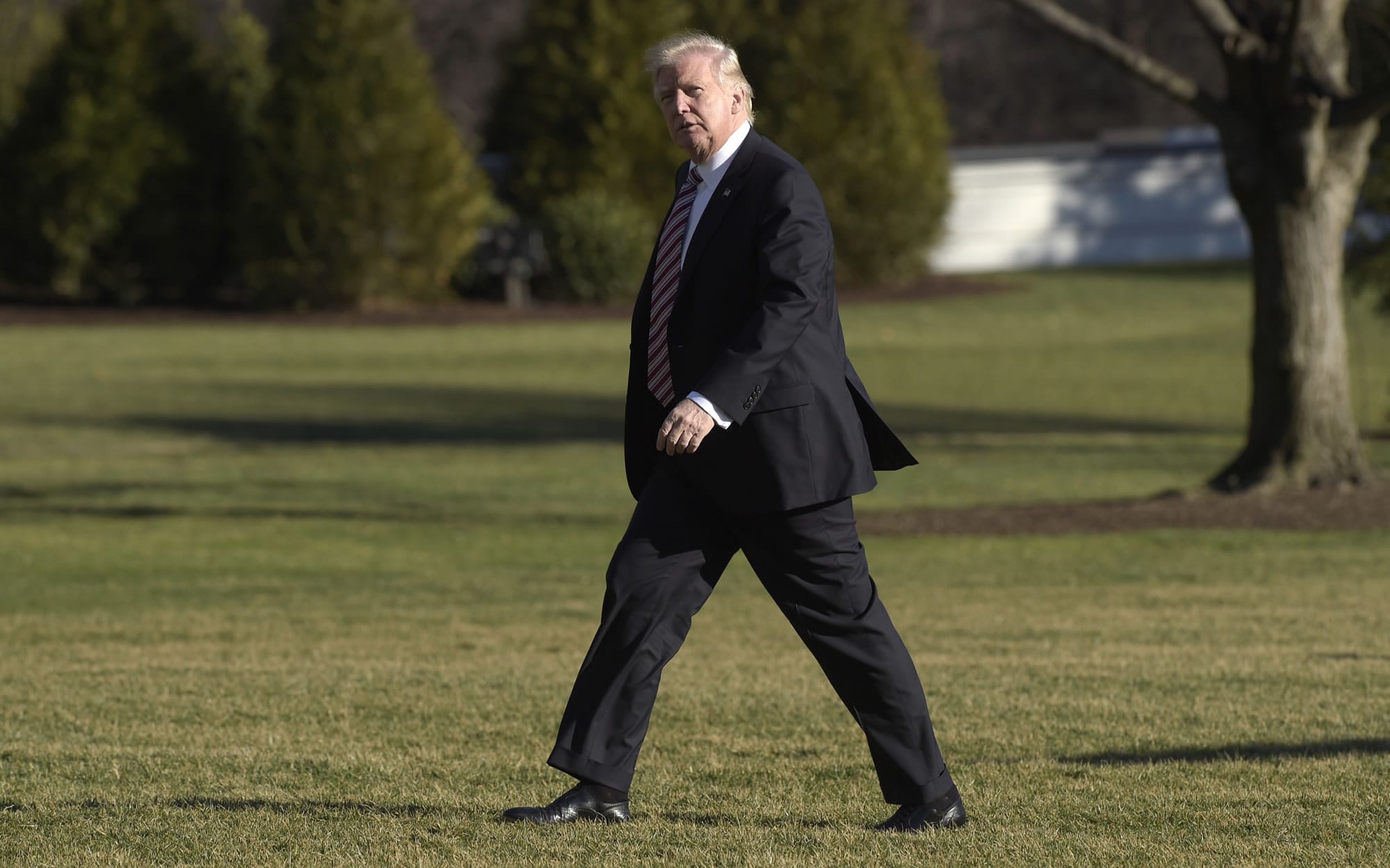 FILE - In this Thursday, Jan. 26, 2017, file photo, President Donald Trump walks on the South Lawn of the White House in Washington after returning from a trip to Philadelphia. Lawmakers in Massachusetts and other Democratic-leaning states are considering ways to flex their muscles in response to the policies of President Donald Trump. House Democrats have scheduled an unusual caucus for Wednesday, Feb. 8, 2017, at the Statehouse to discuss a response to "recent actions" by the Trump administration.
