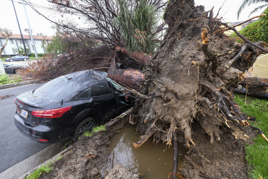 A fallen tree lies across a crushed car Saturday in the Sherman Oaks section of Los Angeles. (RINGO H.W.