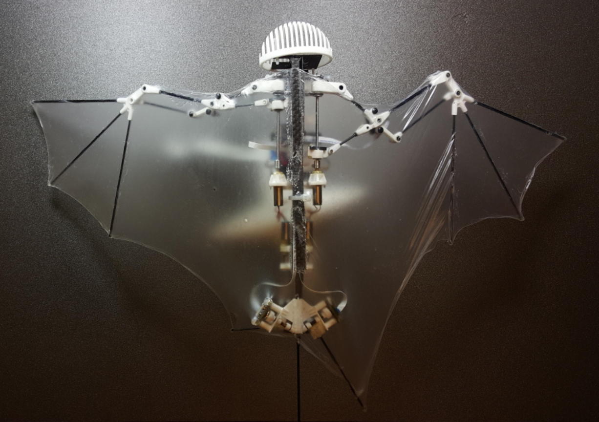 The Bat Bot, a three-ounce flying robot, has been claimed to be more agile at getting into treacherous places than standard drones.