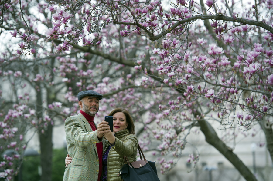 Fidelio Desbradel and his wife, Leonor Desbradel, of the Dominican Republic take a selfie in front of a Tulip Magnolia tree Tuesday in Washington. Crocuses, cherry trees and magnolia trees are blooming several weeks early because of an unusually warm February that has the natural world getting ahead of the calendar.