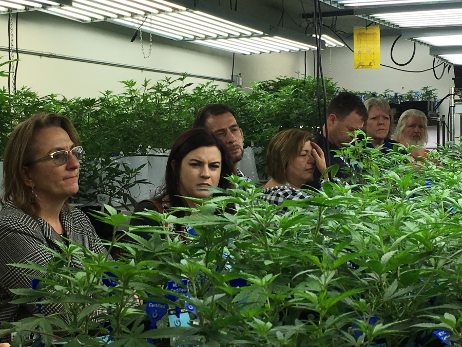 Agriculture regulators from seven different states and Guam tour a Denver marijuana growing warehouse.