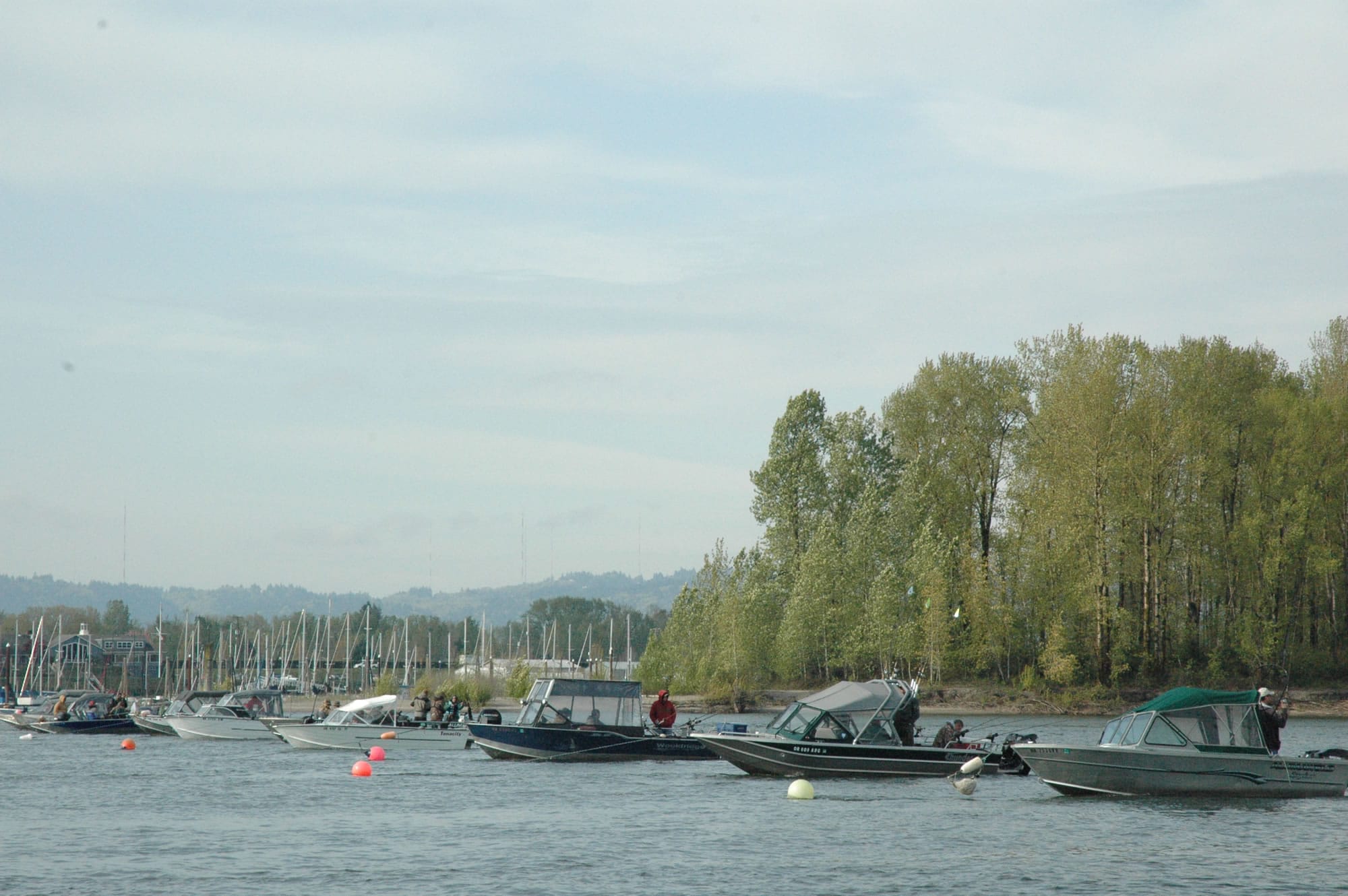 Spring chinook fishing upstream of Interstate 5 will open on March 1 and is projected to continue through April 6.