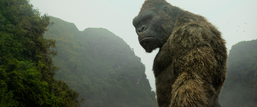 Kong in the film &quot;Kong: Skull Island.&quot; (Warner Bros.