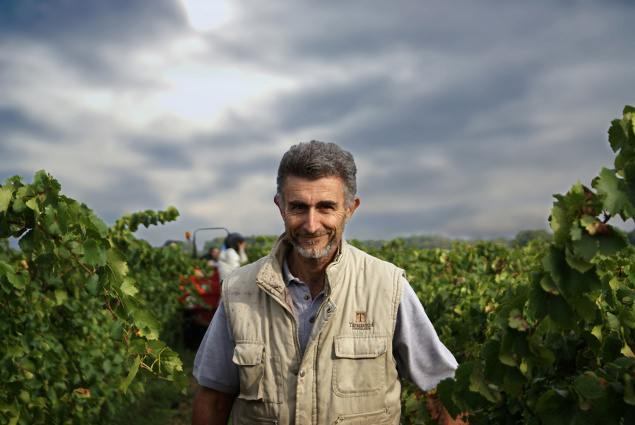 Michel Gassier in his vineyards in Costi?res de N?mes, at the southern end of France&#039;s Rhone Valley.