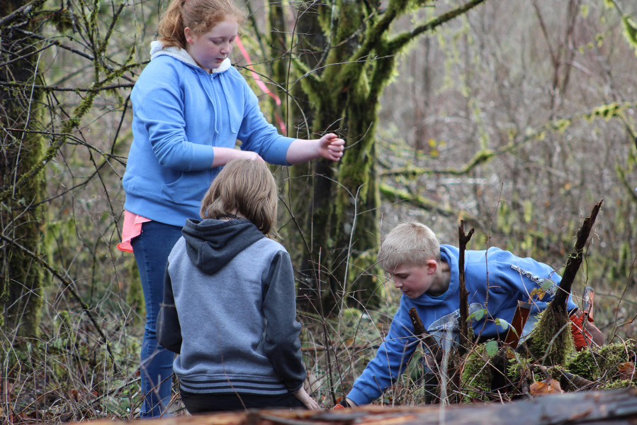 Woodland: Students from Green Mountain Middle School took a field trip to the Haapa Boat Launch on the Lewis River, where they planted trees and learned about restoration from Lower Columbia Fish Enhancement Group members.