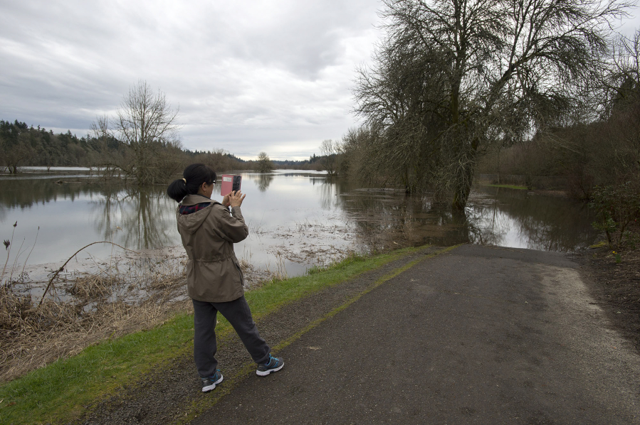 Hyunmi Holeman of Vancouver takes a photo of a flooded section of the Salmon Creek Greenway Trail during a walk on Monday afternoon. Minor flooding of the Columbia River caused parts of the trail to flood as water backed up into Salmon Creek.