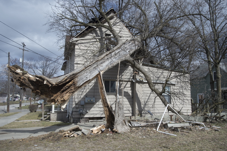 A tree fell on a house after high winds Wednesday in Saginaw, Mich.