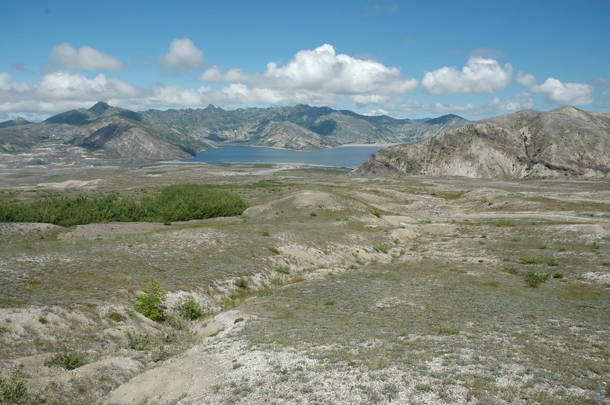 A view of the Spirit Lake pumice plain from Loowit trail No. 216 on the north side of Mount St. Helens.