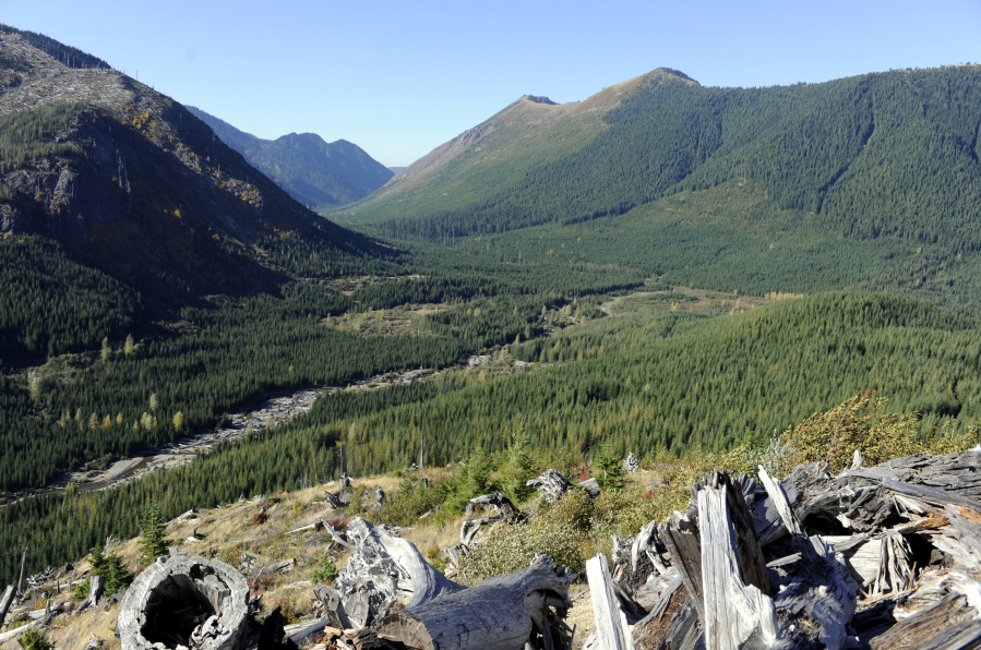 A view of the area, shown in 2011, where the Ascot Mining Co. wants to do more exploratory drilling above the Green River near the Mount St. Helens National Volcanic Monument near Randle.