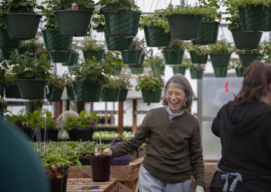 Volunteer Judy Karch laughs with friends while preparing for the upcoming plant sale at 78th Street Heritage Farm. Hanging baskets are one of the sale&#039;s more popular items.