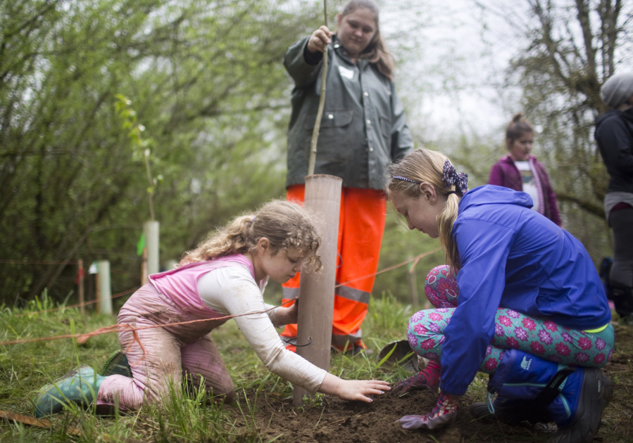 Girls Scouts Adrionna McClellan, 9, left, and her friend Kennedy Kambeitz, right, plant a tree at the Clark Public Utilities annual StreamTeam Earth Fest in honor of Earth Day Saturday. The event was one of several volunteer projects across Clark County where people planted trees, pulled invasive species or picked up trash.