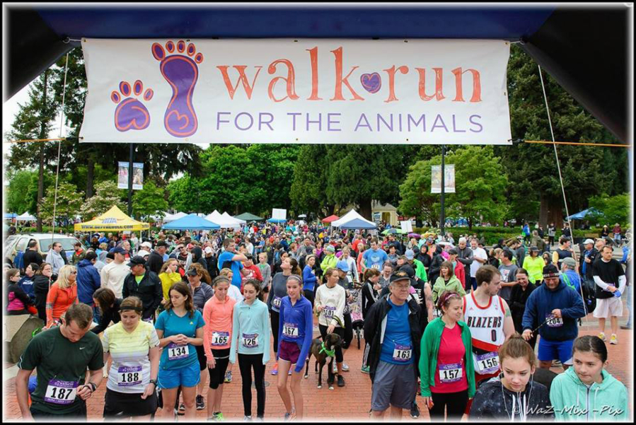 The annual Run/Walk for the Animals is put on by the Humane Society for Southwest Washington.