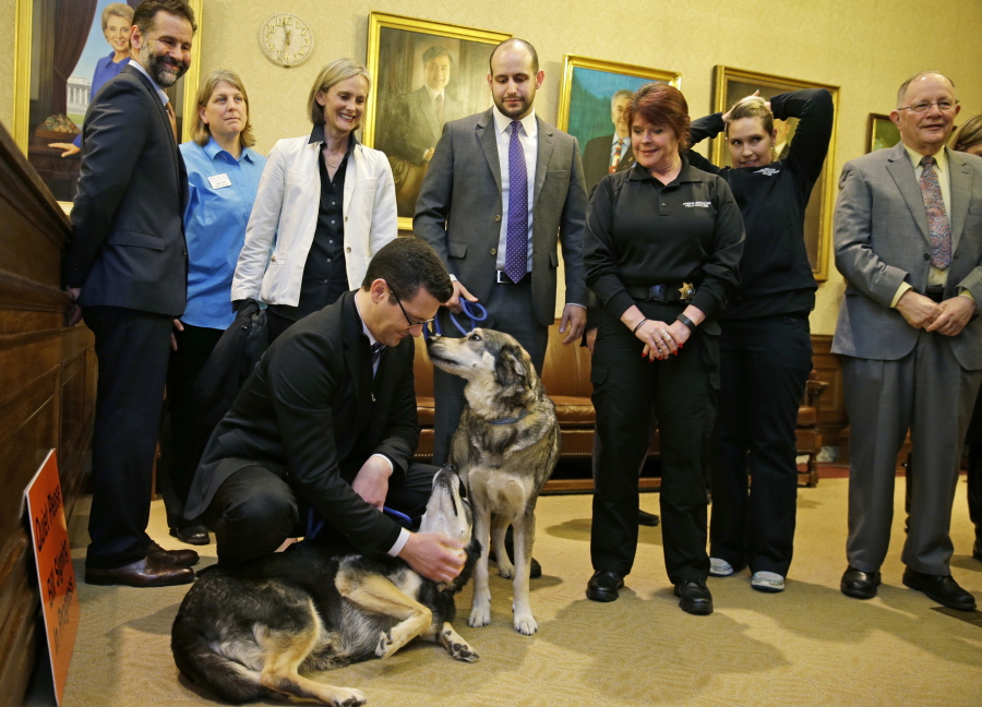 Sen. Joe Fain, R-Auburn, lower left, pets Coco and Alfredo, two dogs brought in for a bill signing ceremony, Wednesday at the Capitol in Olympia. Gov. Jay Inslee signed a measure sponsored by Fain that brings new penalties for dog owners who tie up or &quot;tether&quot; their dogs in an inhumane way. (ted s.