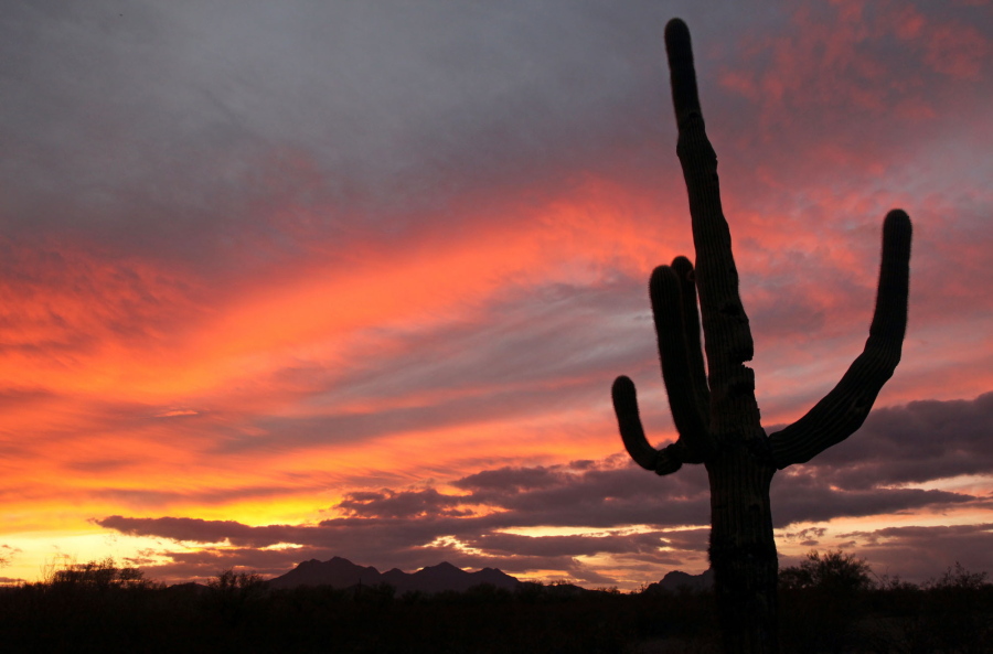 A cactus is seen against a backdrop of colorful clouds in Ironwood Forest National Monument in December 2009 in Marana, Ariz. President Donald Trump signed an executive order Wednesday directing his interior secretary to review the designation of dozens of national monuments on federal lands, as he singled out &quot;a massive federal land grab&quot; by the Obama administration.