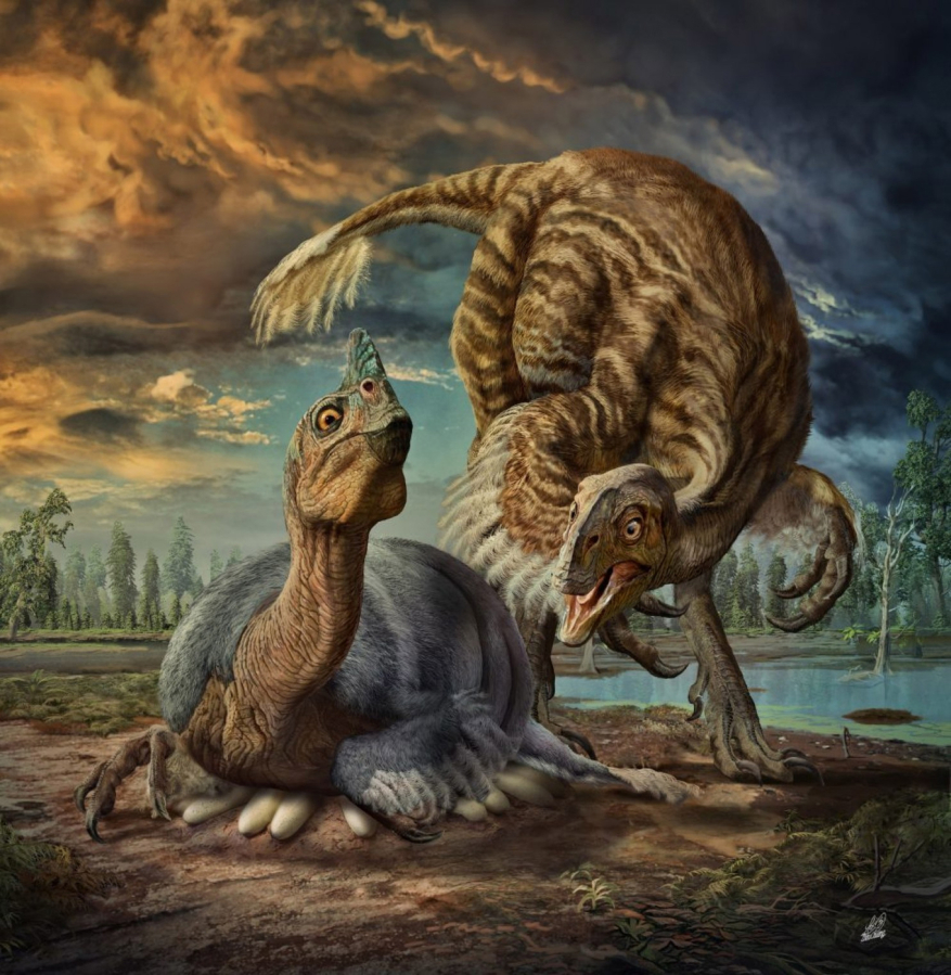 An illustration of the dinosaur Beibeilong on its nest.