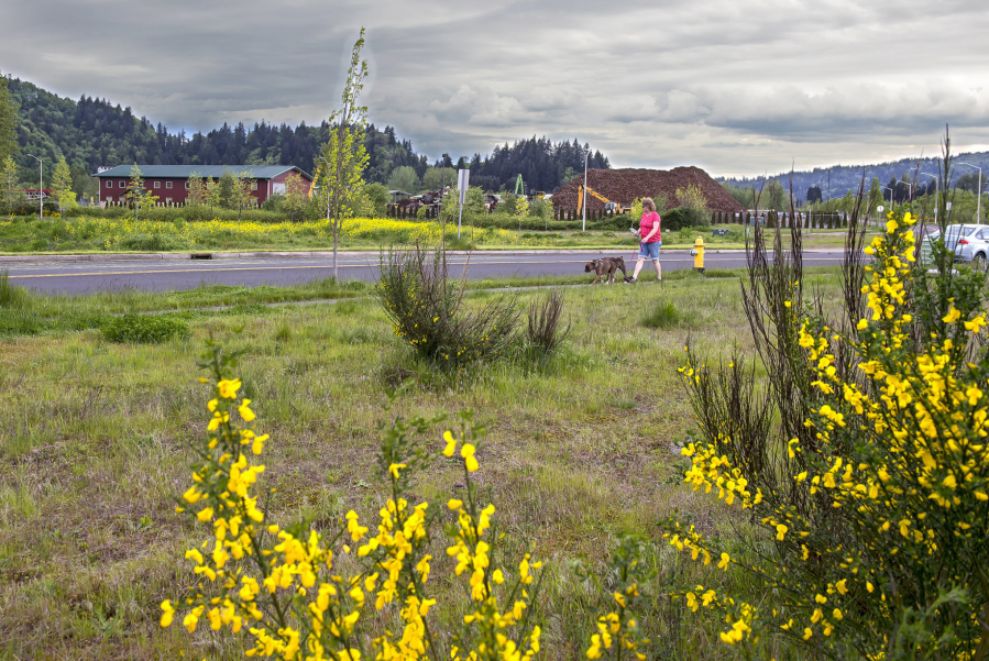 Much of the open, natural space at the Mint Farm could become a fertilizer plant with City Council approval. It will include using land now occupied by PNW Metals Recycling.