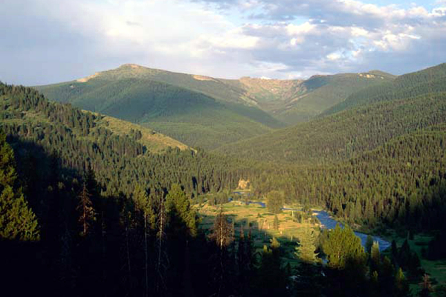 Fish Creek winds through one of Idaho’s Clearwater National Forest’s 16 inventoried roadless areas. Clearwater National contains more than 900,000 acres of inventoried roadless areas, according to U.S. Forest Service maps. Female Forest Service workers were much more likely than men to identify serious problems within the federal agency, according to a previously unreleased study obtained by McClatchy under the Freedom of Information Act.