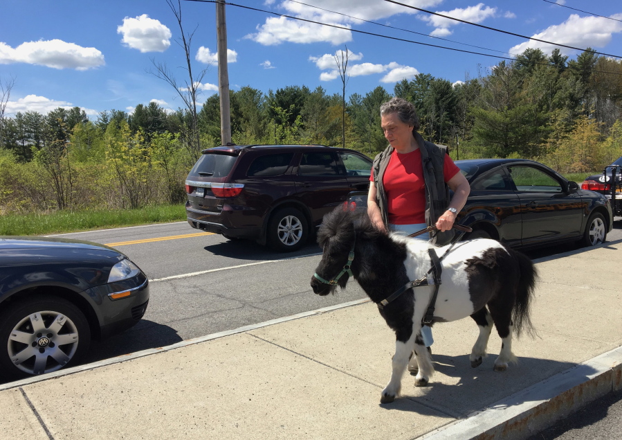 Ann Edie, who has been blind since birth, walks with her miniature guide horse, Panda, on a street May 12, 2017, near her home in suburban Albany, N.Y. Retired teacher Edie and her husband drained more than $30,000 from their retirement nest egg to get Panda a life-saving operation after she suffered a serious intestinal blockage. Horse lovers who follow a blog about Panda’s training have also kicked in more than $11,000 to help defray costs.