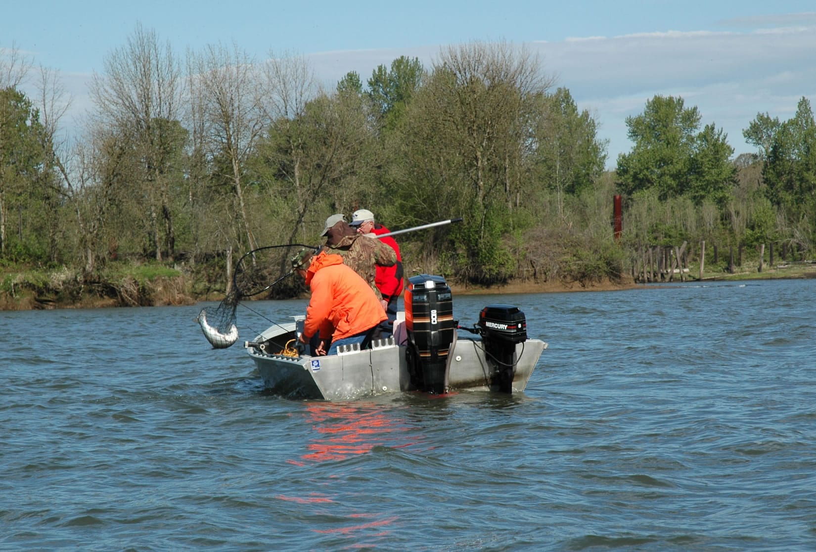 Anglers net a spring chinook in the Multnomah Channel of the Willamette River.