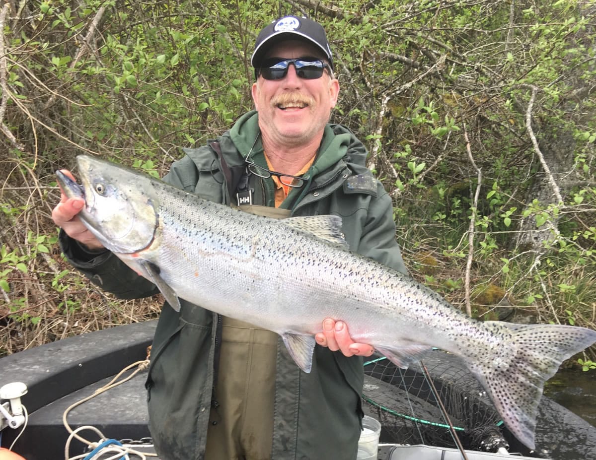 Paul Welle bounced eggs and shrimp in the Wind River to land this spring chinook salmon.