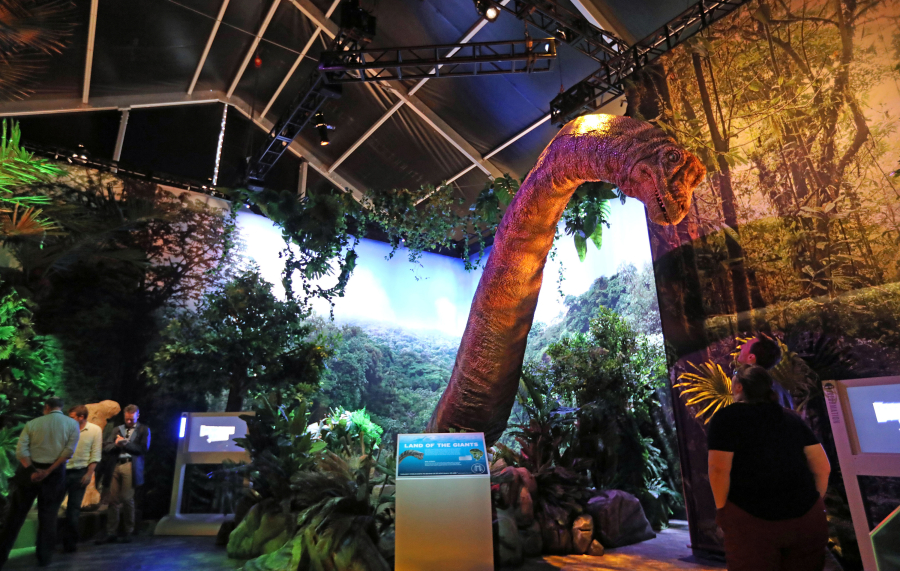 A brachiosaurus stares down on visitors May 22 at the “Jurassic World” exhibit at the Field Museum in Chicago.