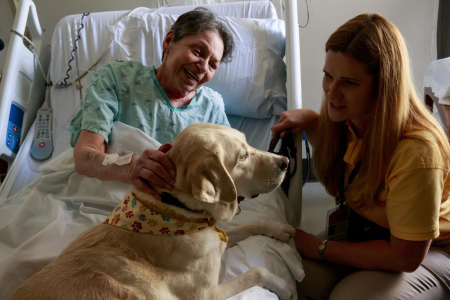 Overlake Medical Center patient Kathy Barnes talks with Karen Keenan and her therapy dog, Viansa, a 6-year-old yellow lab, in her hospital room in Bellevue.