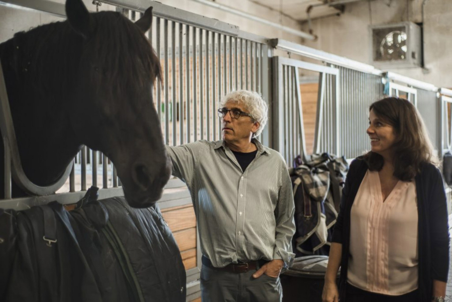 Yuval Neria and Prudence Fisher, of Columbia University, are studying the effect of horses on veterans with PTSD.