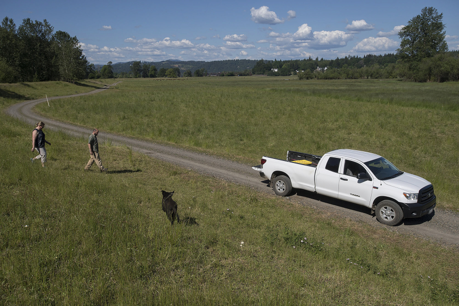 Plas Newydd Farm Conservation Manager Kelley Jorgensen, left, and David Morgan, the farm’s managing partner, stroll the property with farm dog Kolo. The farm’s staff is currently working to convert 876 acres of property into a wetlands and conservation bank.